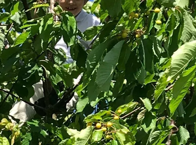 Ruegen-relax 트렌트